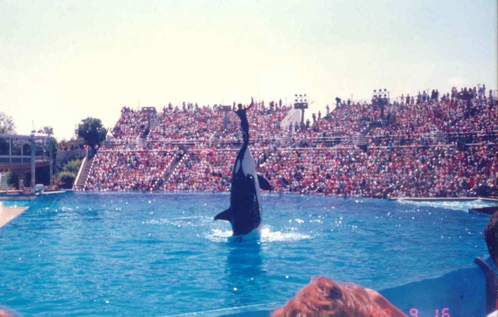 Foto de San Diego (California), Estados Unidos