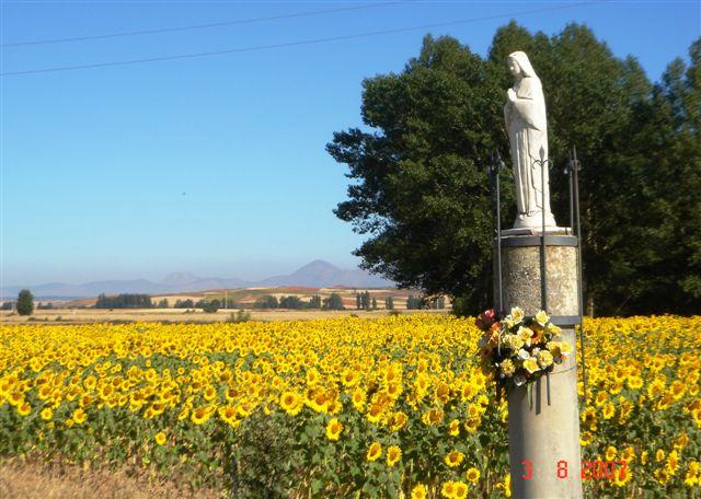 Foto de La Vid de Ojeda (Palencia), España
