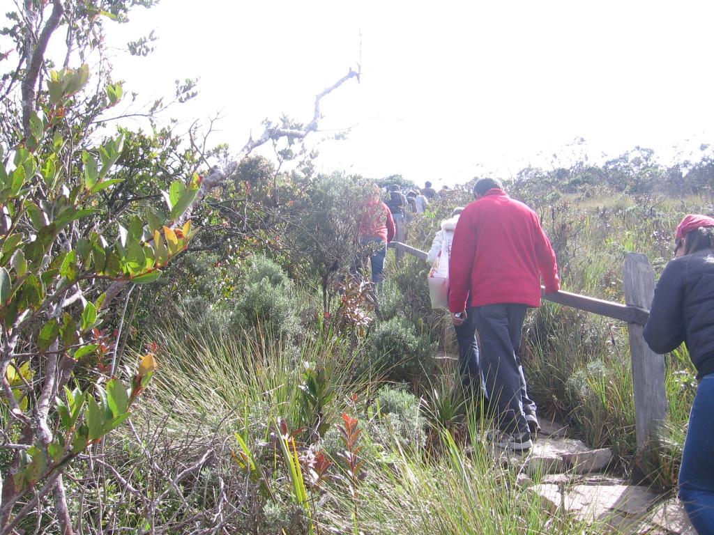 Foto de Laguna de Guatavita, Colombia