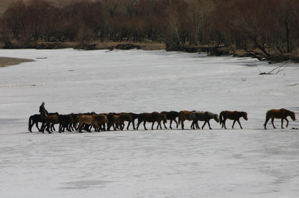 Foto de Ulan Bator, Mongolia