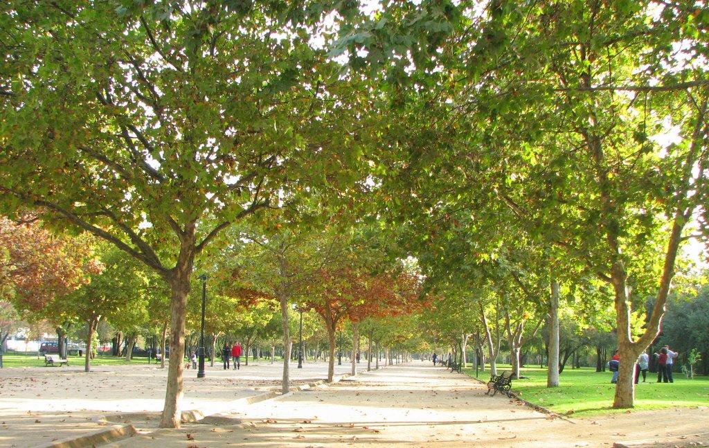 Foto de Santiago, Chile