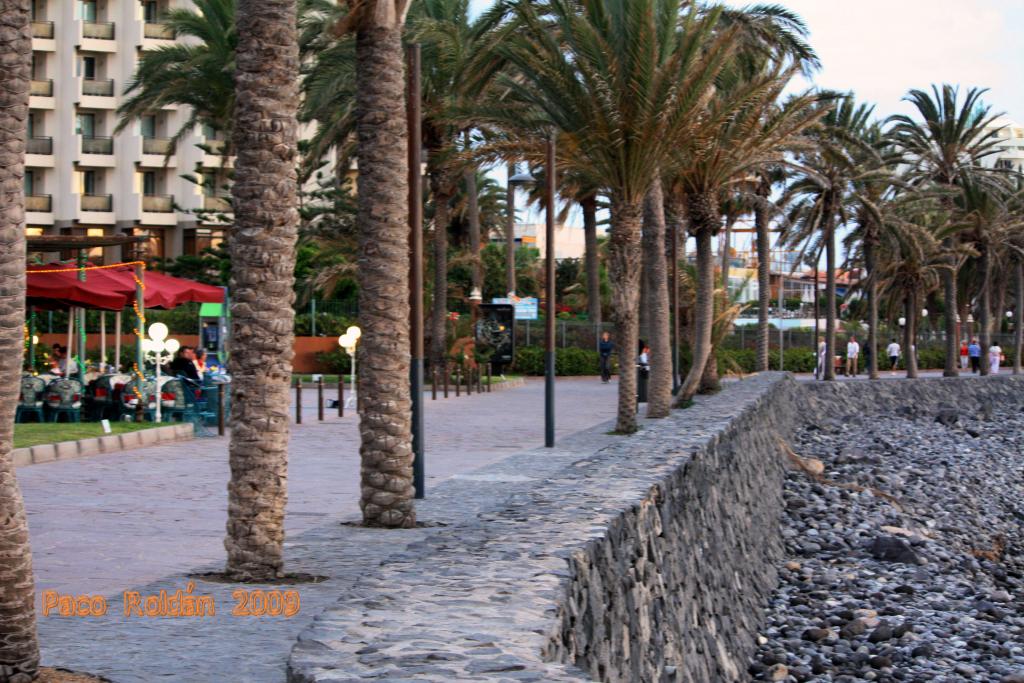 Foto de Arona (Los Cristianos) (Santa Cruz de Tenerife), España