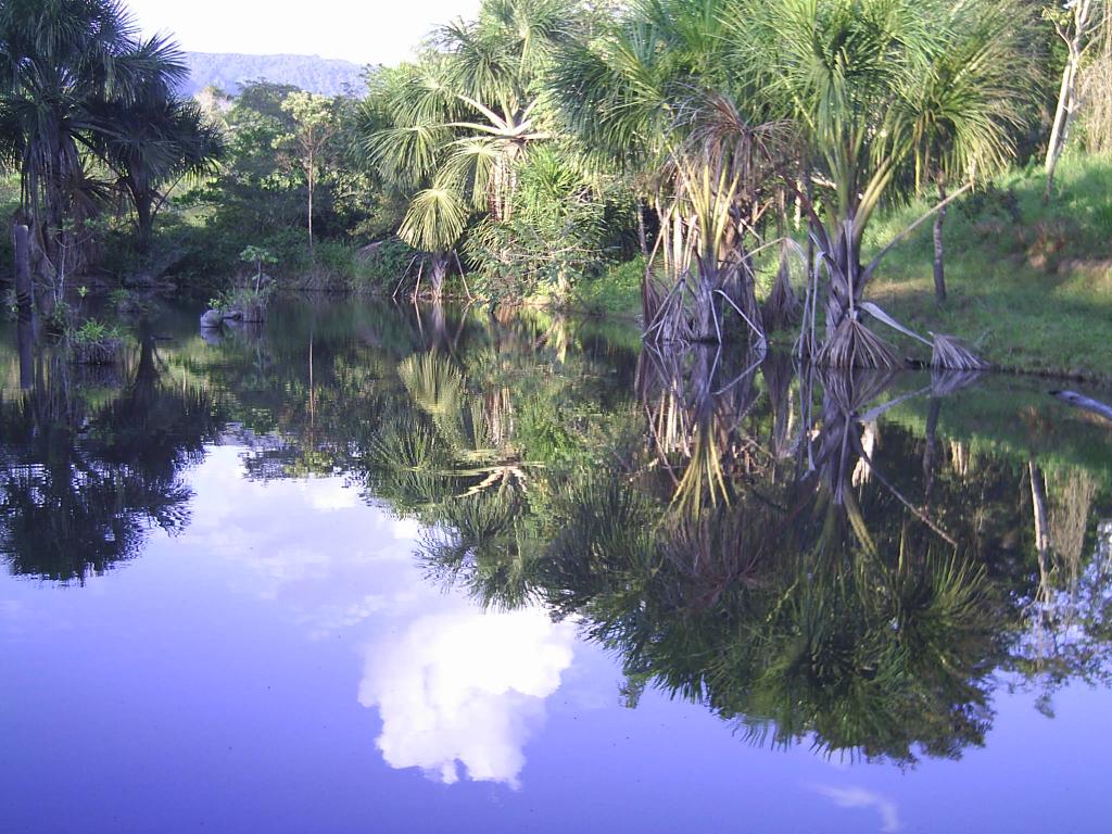 Foto de Tarapoto, Perú