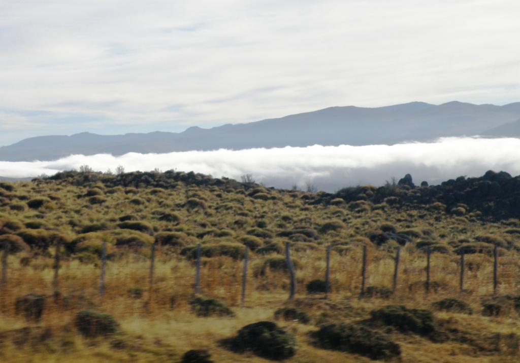 Foto de Aluminé (Neuquén), Argentina