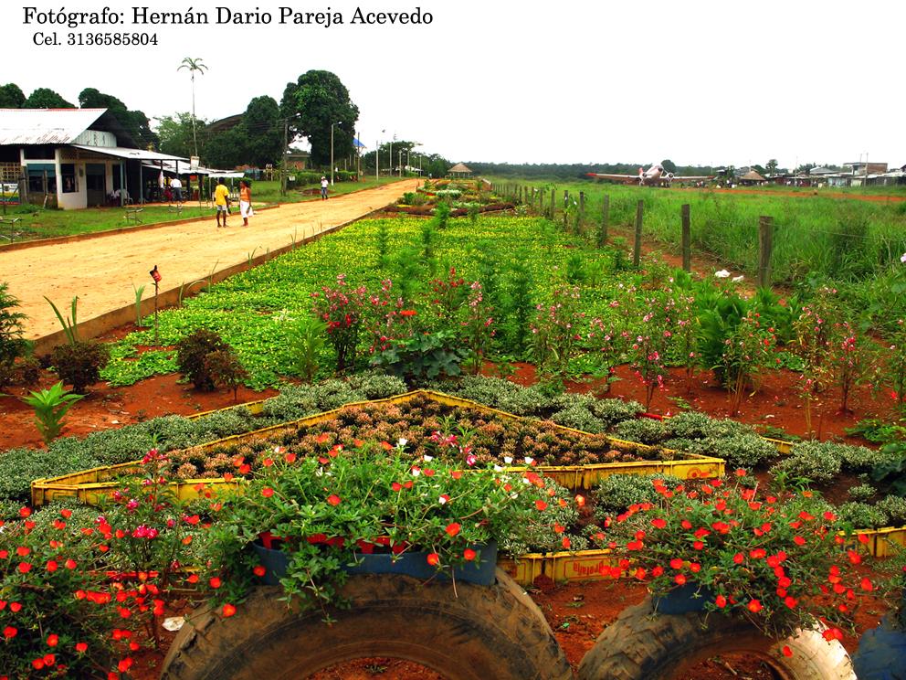 Foto de Miraflores (Guaviare), Colombia