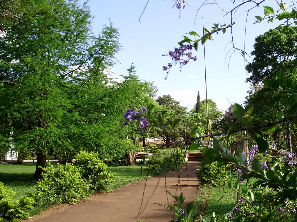 Foto de Cerro Azul (Misiones), Argentina