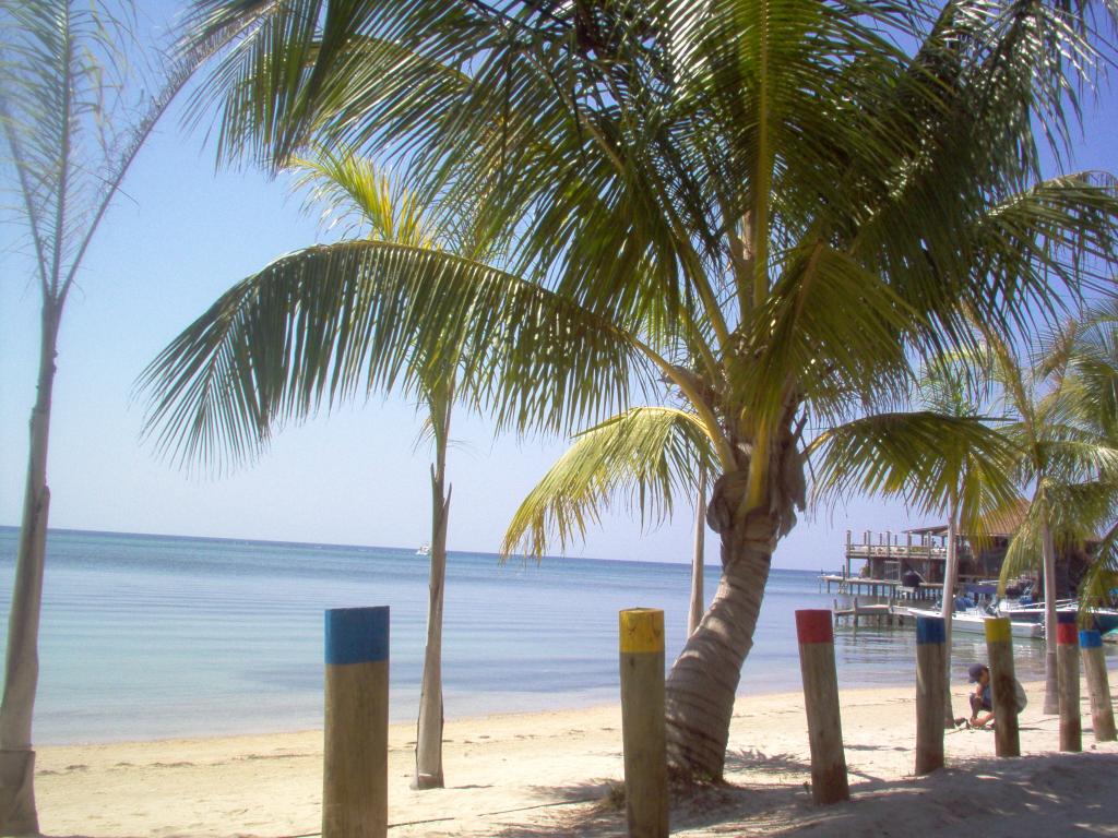Foto de Roatan (Islas de la Bahia), Honduras