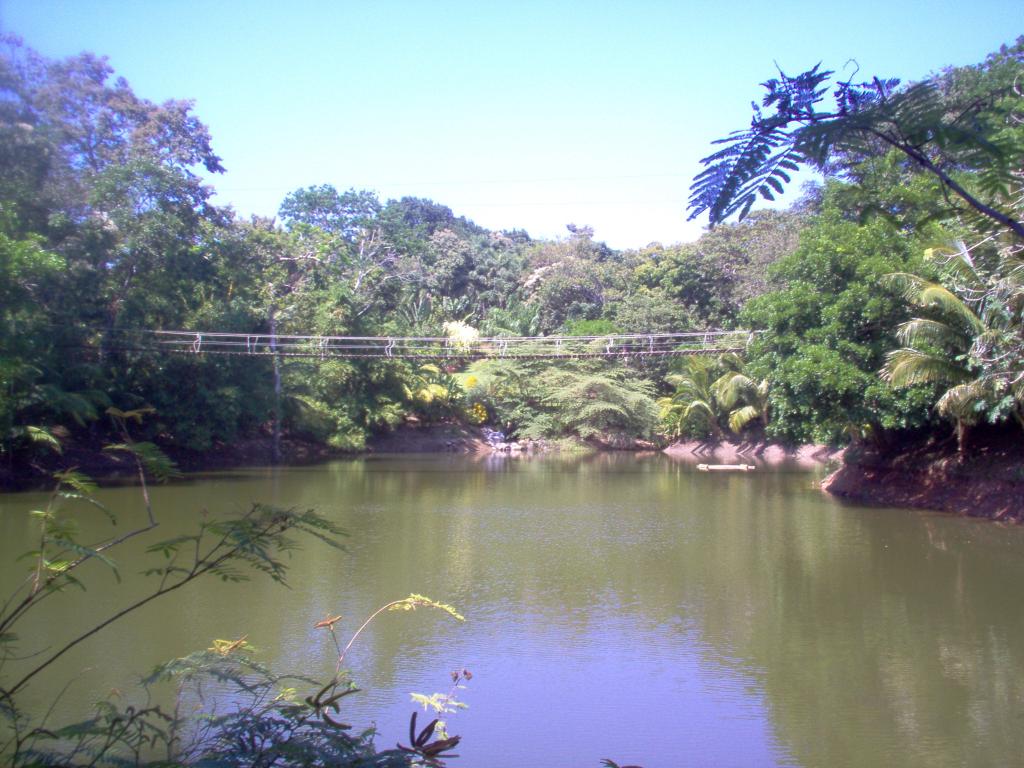 Foto de Roatan (Islas de la Bahia), Honduras