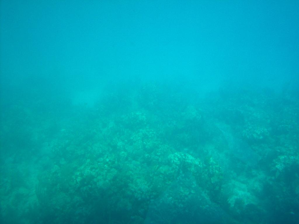 Foto de Roatan (Islas de la Bahia), Honduras