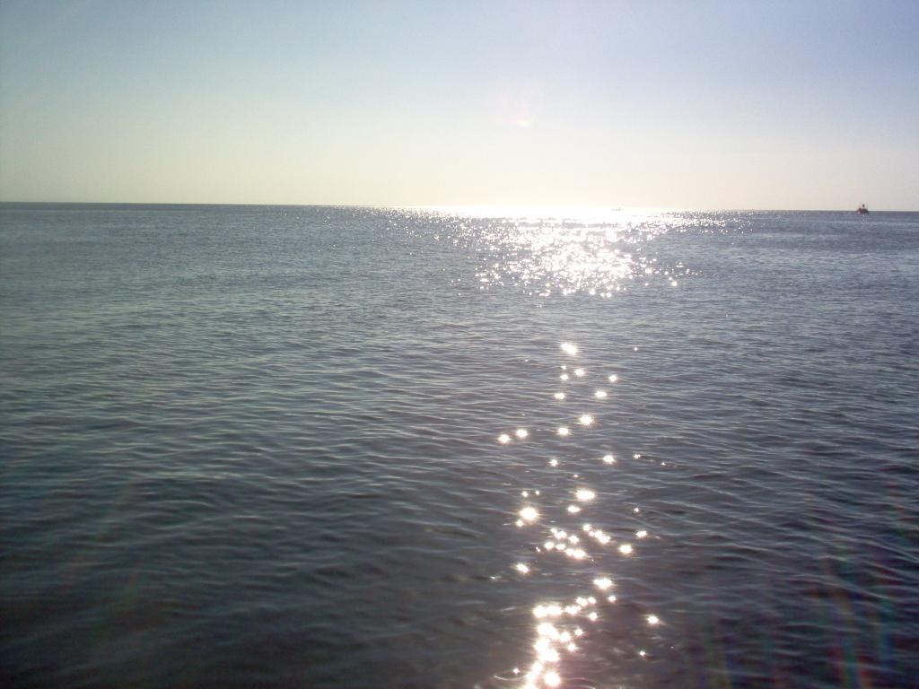 Foto de Roatan (Islas de la Bahia), Honduras