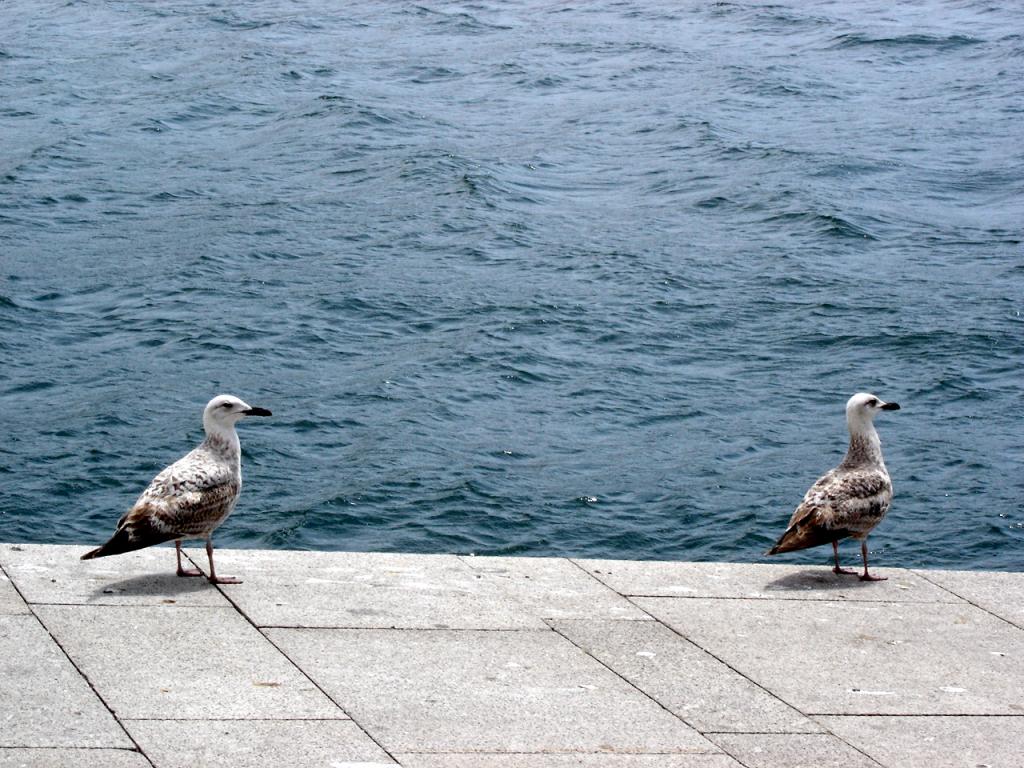 Foto de Oporto, Portugal