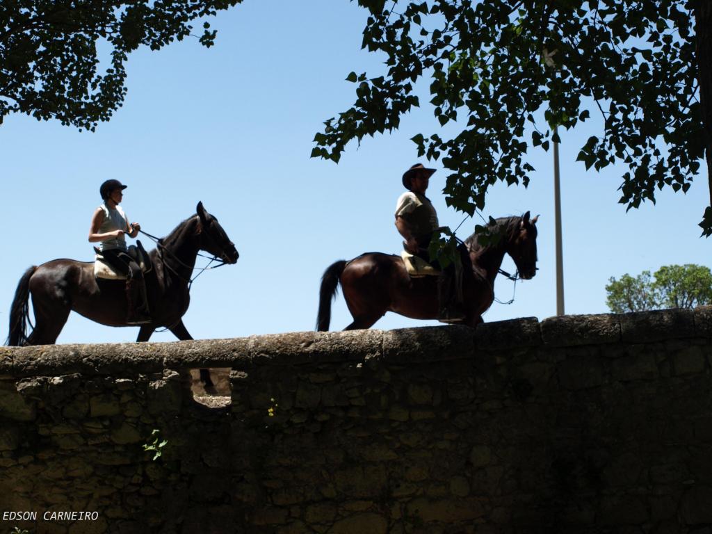 Foto de Peñafiel (Valladolid), España