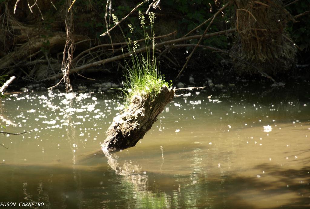 Foto de Peñafiel (Valladolid), España