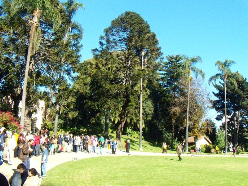 Foto de Viña del Mar, Chile