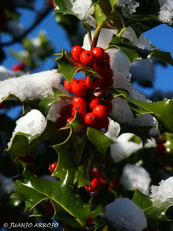 Foto de Asturias, España