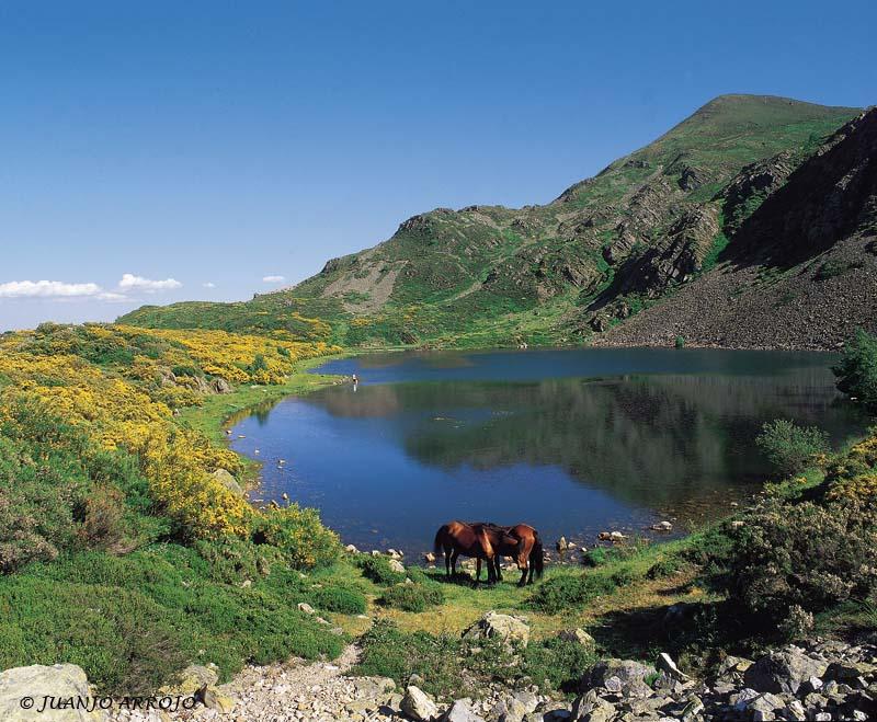 Foto de Cangas del Narcea (Asturias), España