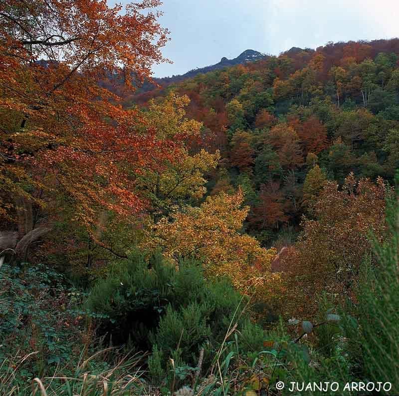 Foto de Cangas del Narcea (Asturias), España