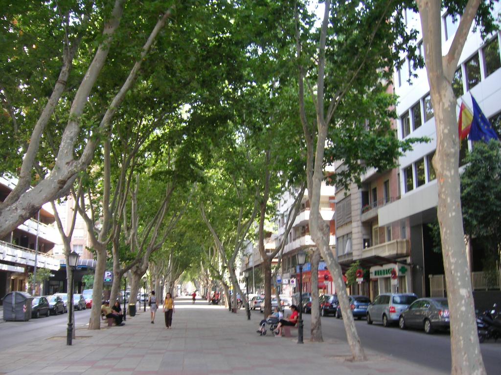 Foto de Murcia, España