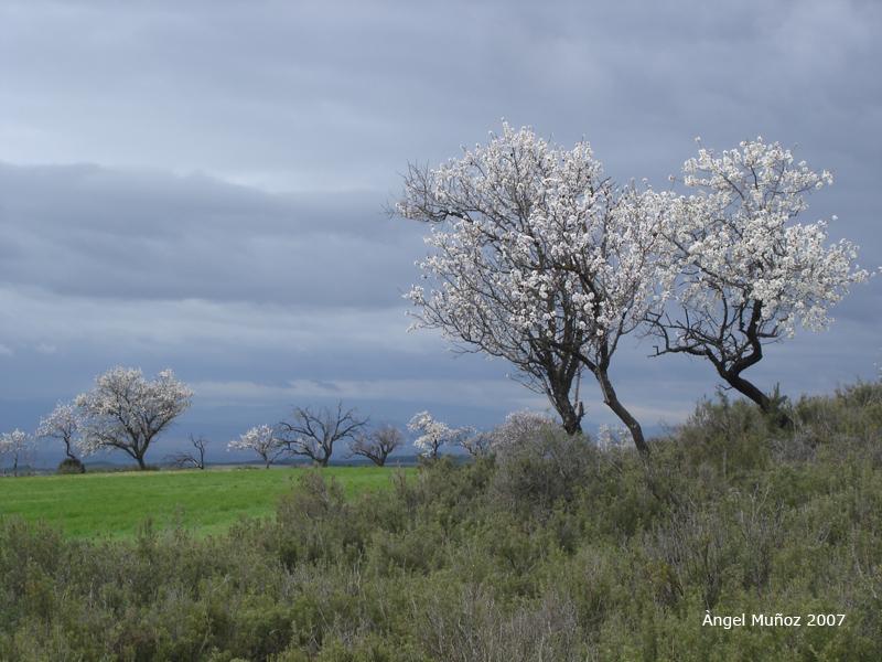 Foto de Bardenas Reales (Navarra), España
