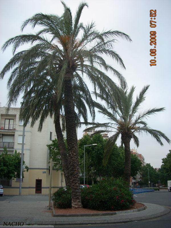 Foto de Oviedo (Asturias), España