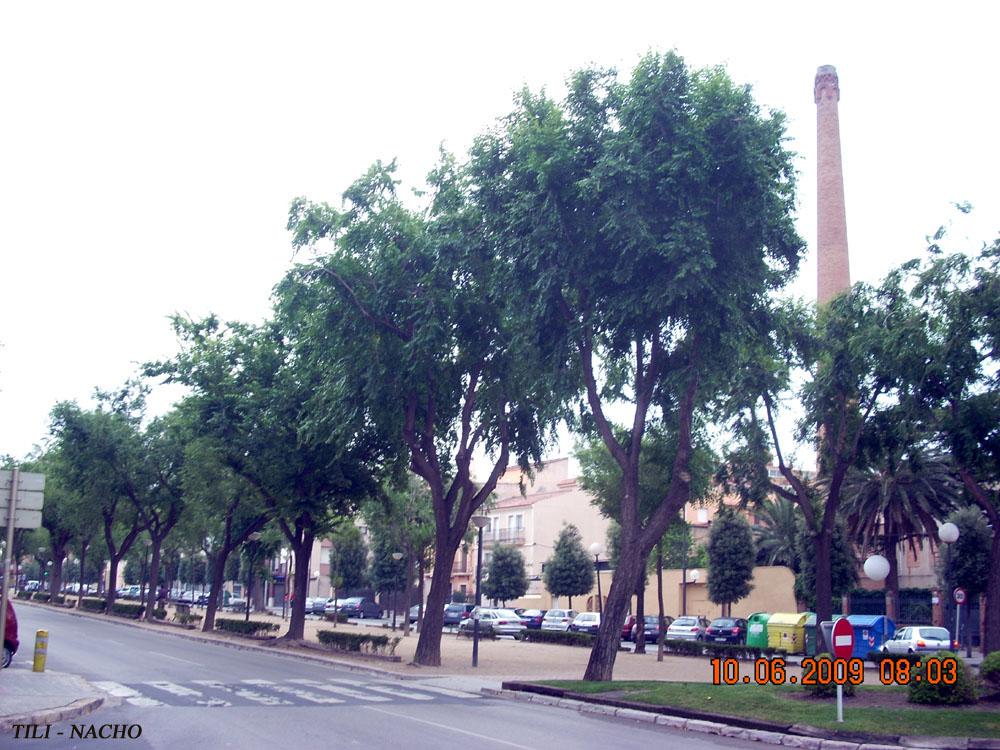 Foto de Reus (Tarragona), España