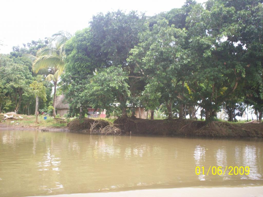 Foto de Los Chiles (Alajuela), Costa Rica