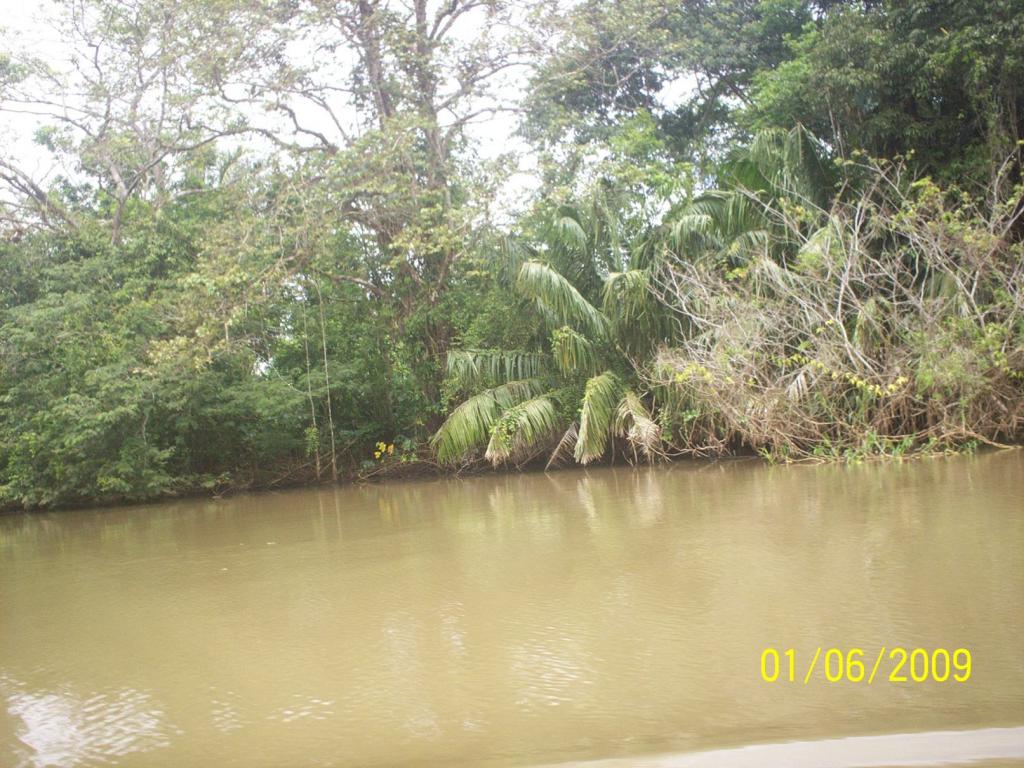 Foto de Los Chiles (Alajuela), Costa Rica