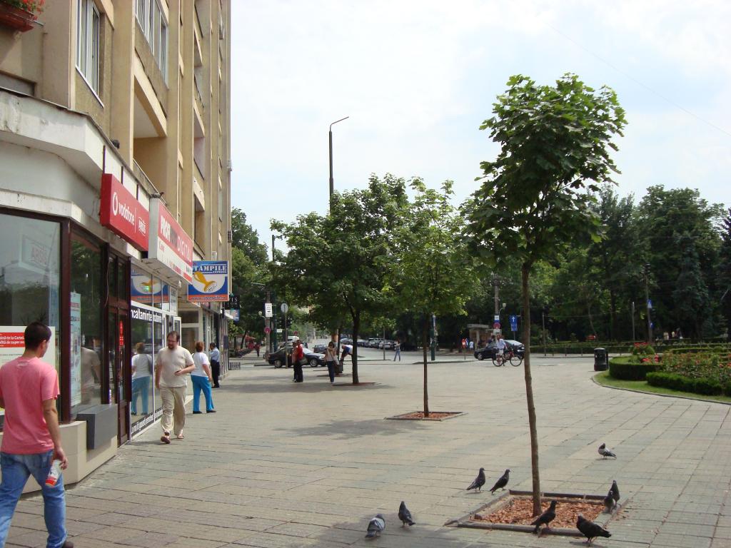 Foto de Timisoara, Rumania