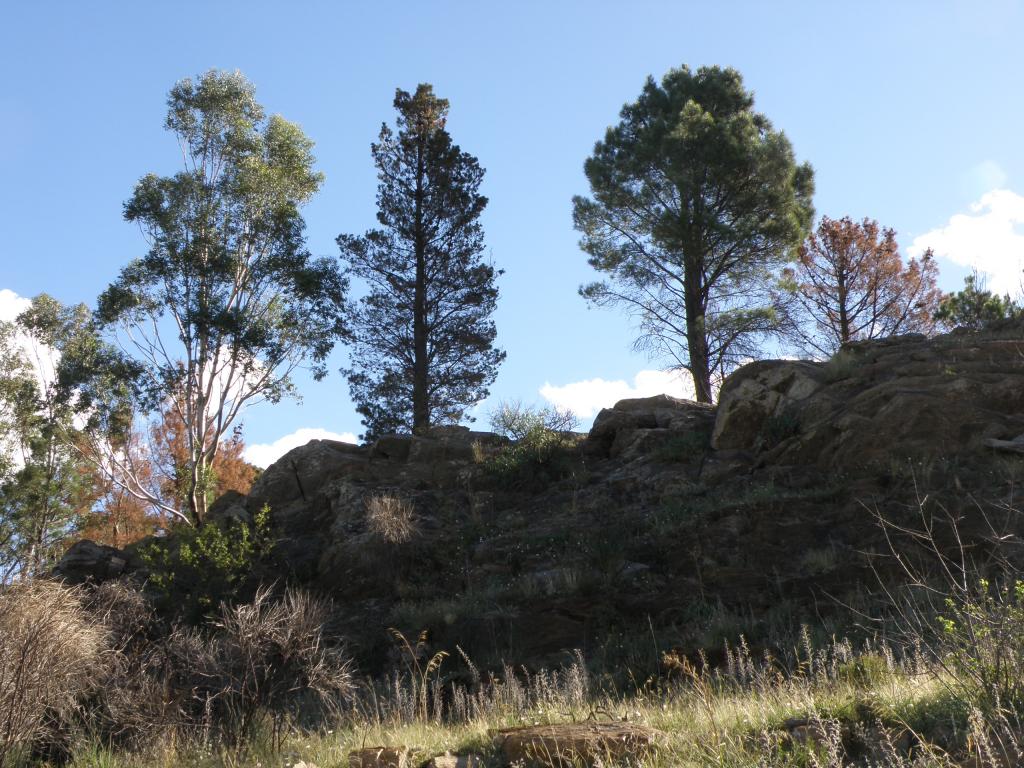 Foto de Villa Ventana (Buenos Aires), Argentina