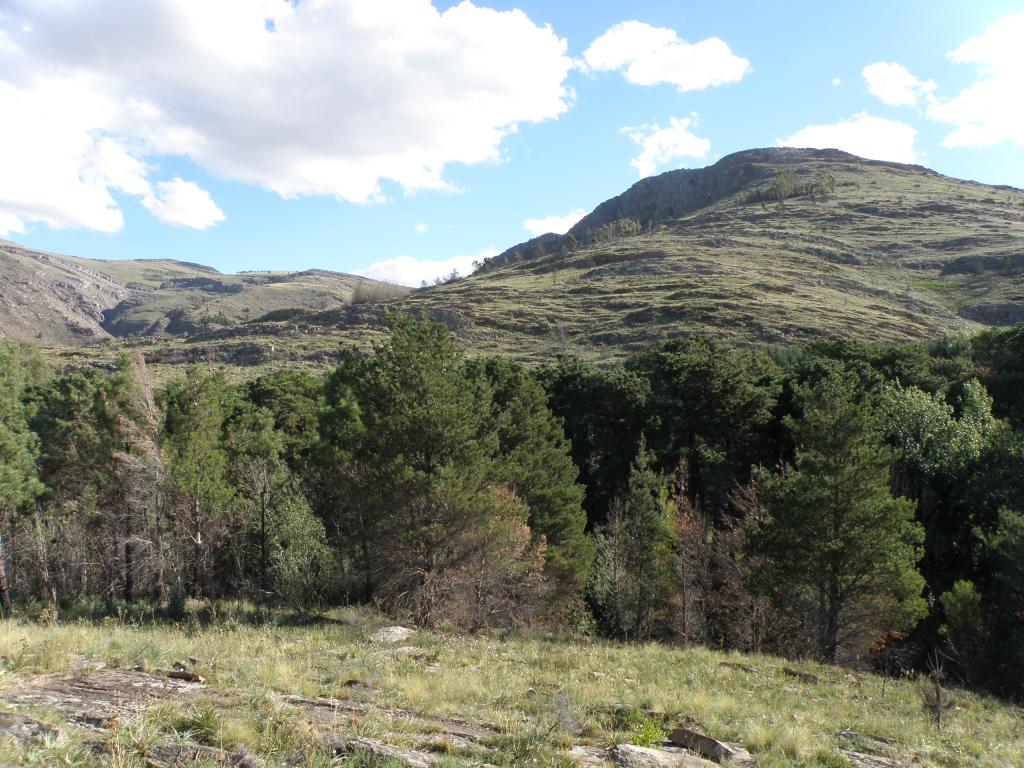 Foto de Villa Ventana (Buenos Aires), Argentina