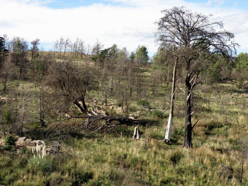 Foto de Villa Ventana (Buenos Aires), Argentina