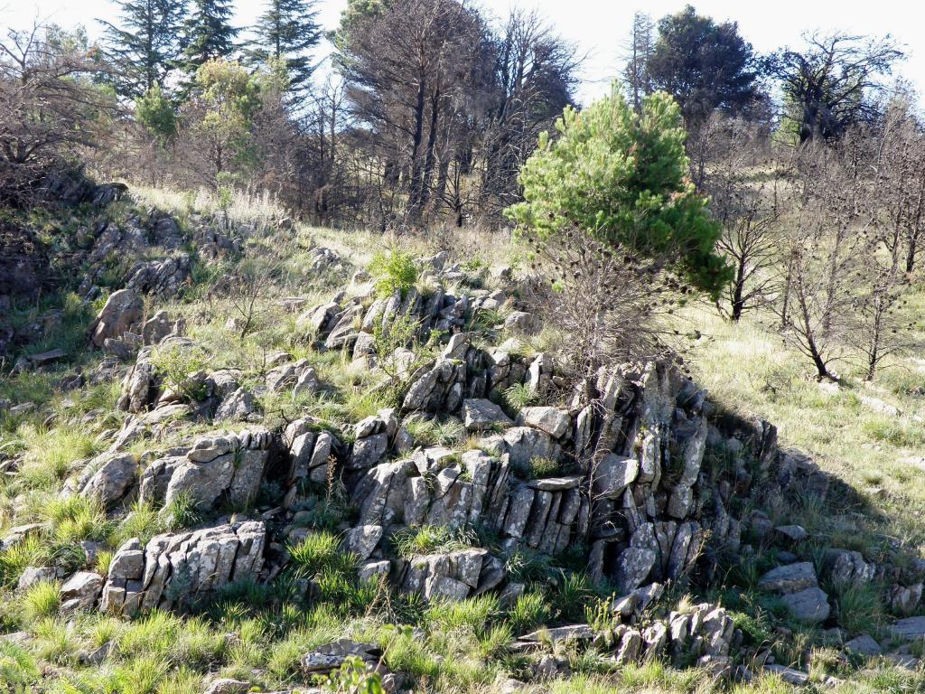 Foto de Villa Ventana (Buenos Aires), Argentina