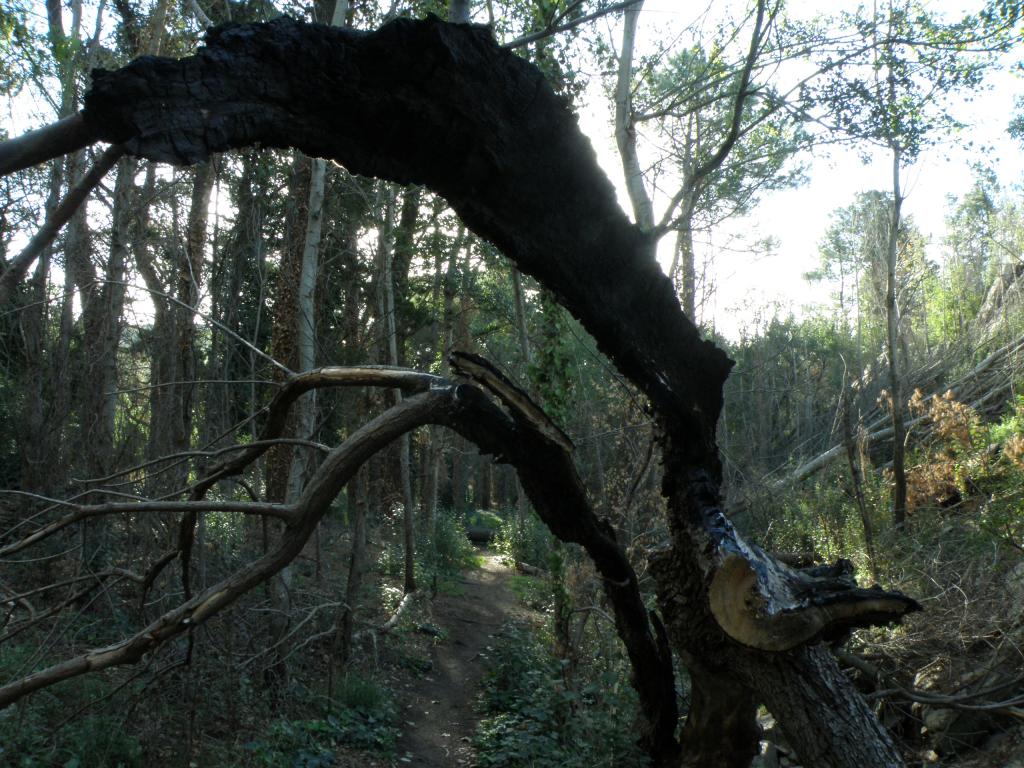 Foto de Villa Ventana (Buenos Aires), Argentina