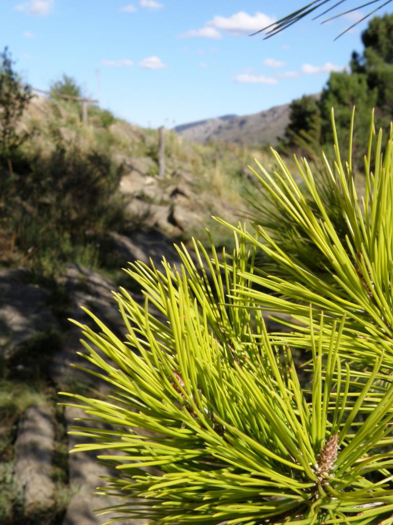 Foto de Villa Ventana (Buenos Aires), Argentina