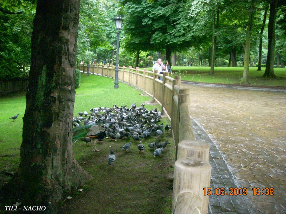 Foto de Oviedo (Asturias), España