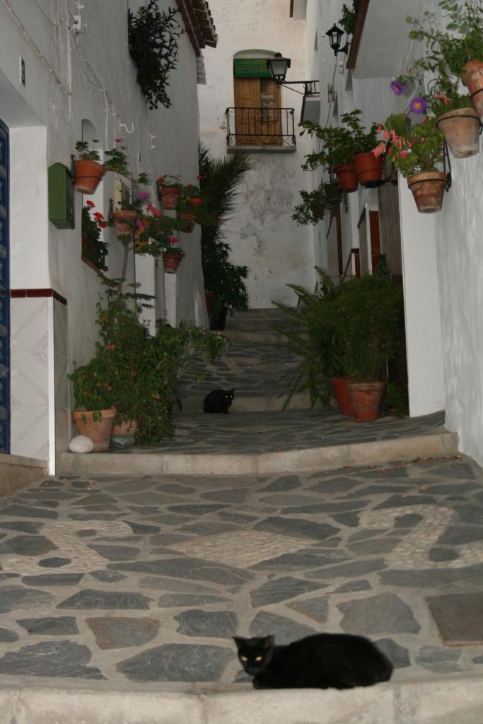 Foto de Canillas de Albaida (Málaga), España
