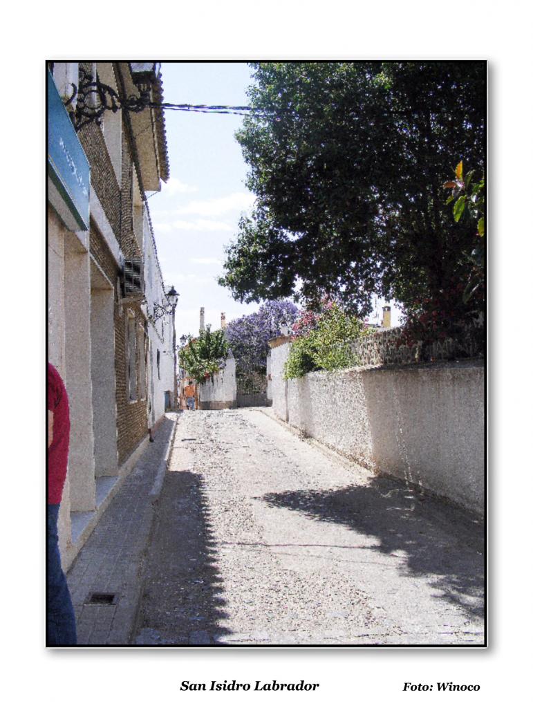 Foto de El Pedroso (Sevilla), España