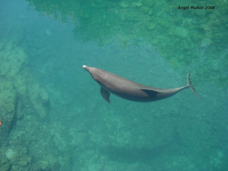 Foto de Xcaret, México