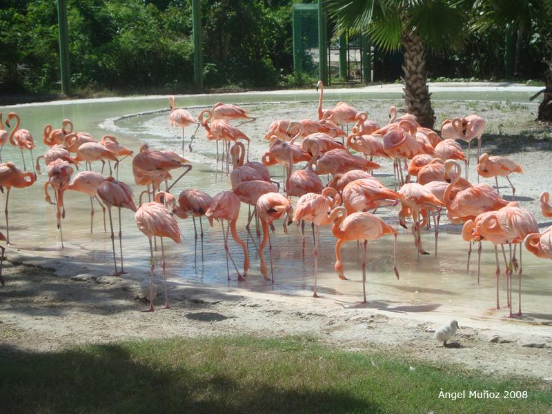 Foto de Xcaret, México