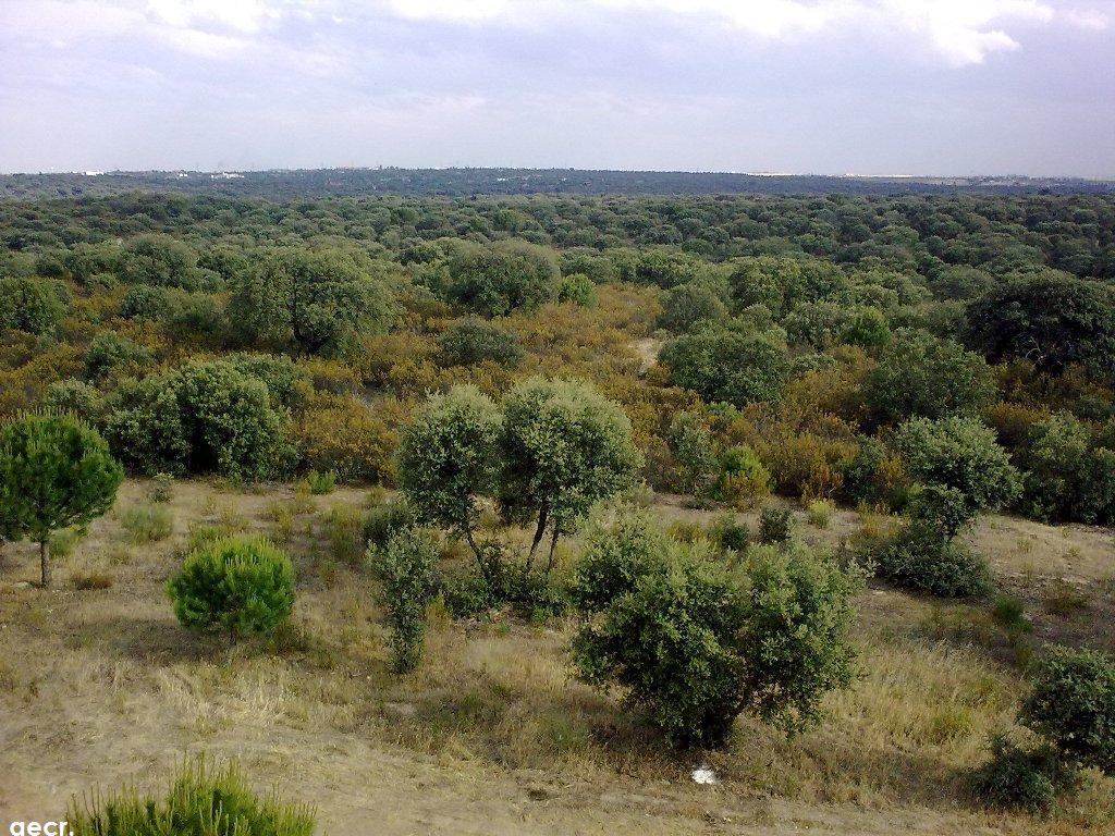 Foto de Majadahonda (Madrid), España