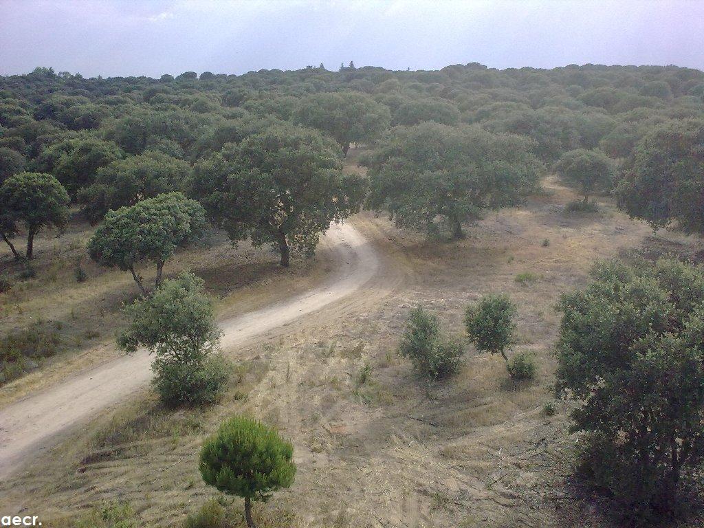 Foto de Majadahonda (Madrid), España