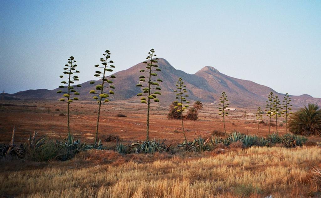 Foto de San Jose (Almería), España