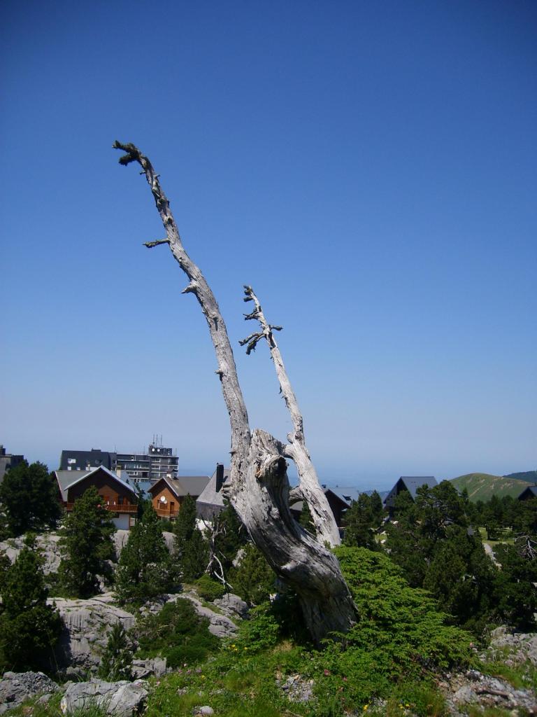 Foto de Arette, Francia