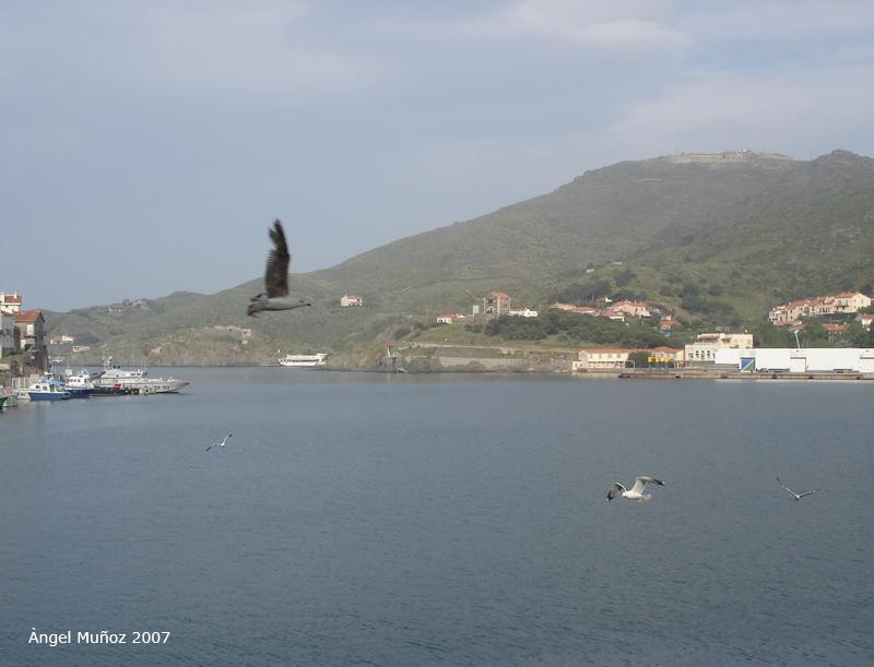 Foto de Port-Vendres, Francia