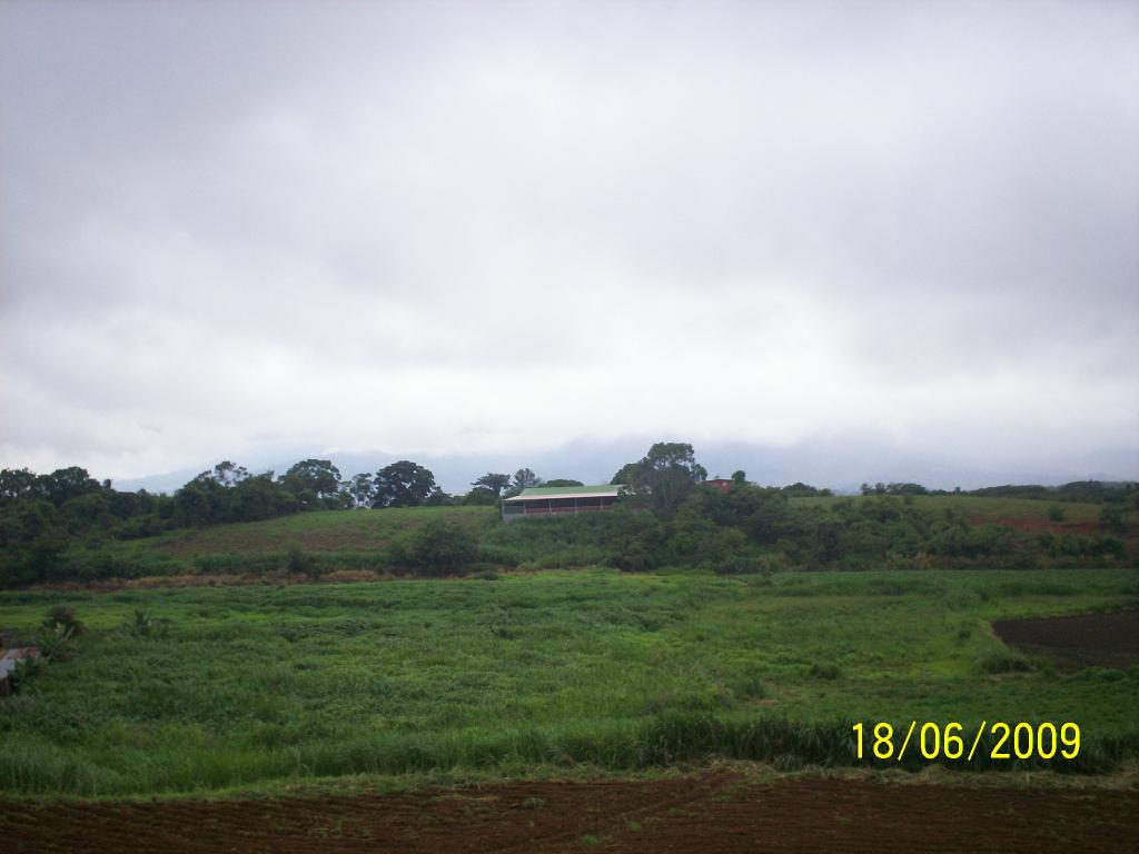 Foto de Tuetal Sur (Alajuela), Costa Rica