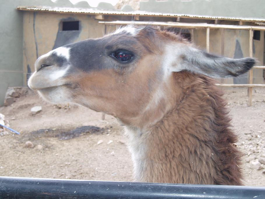 Foto de Oruro, Bolivia