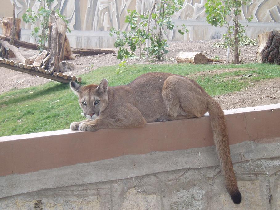 Foto de Oruro, Bolivia