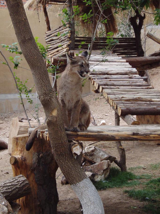 Foto de Oruro, Bolivia