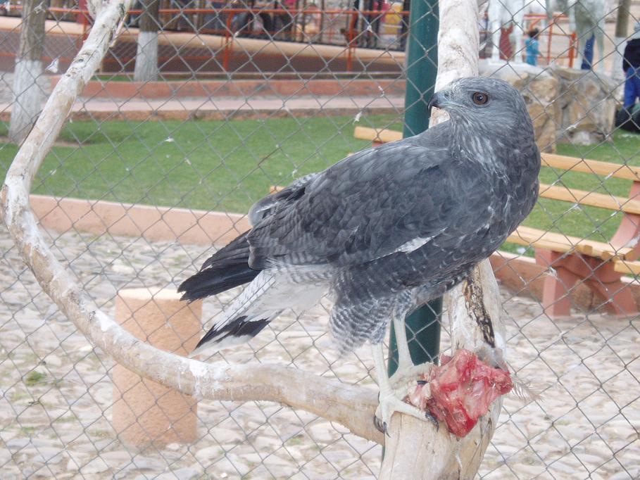 Foto de Oruro, Bolivia