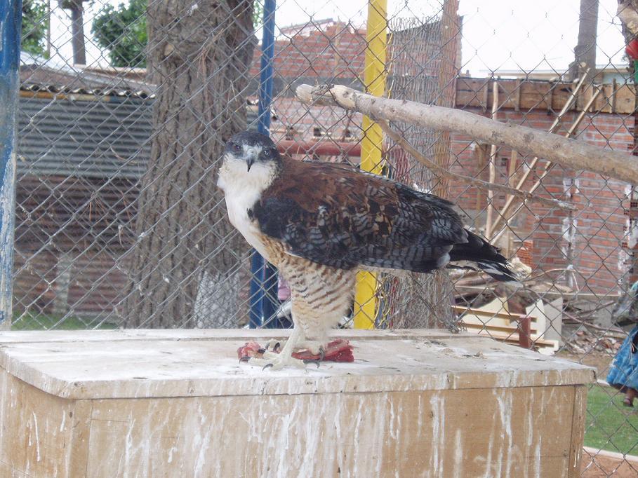 Foto de Oruro, Bolivia
